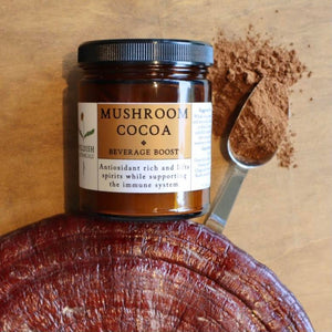 Mushroom Cocoa